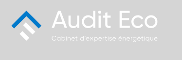 AUDIT ECO
